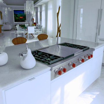 Modern Miami Glass Kitchen
