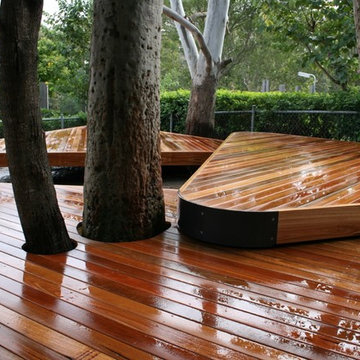 Spotted Gum Timber Decks built into the trees