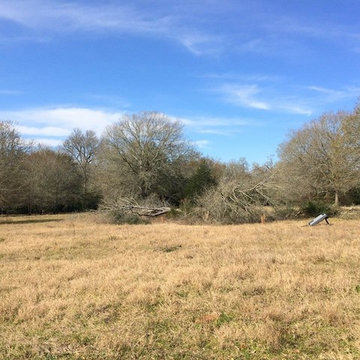 Copelyn Clearing/Clean Up