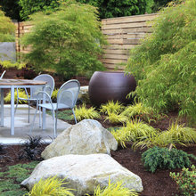Backyard ideas