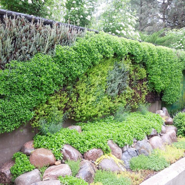Vertical garden