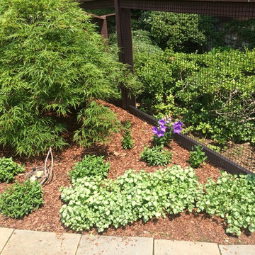 Stamford Shade Garden & Pool