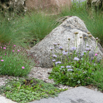 Xeriscape Garden at the Edge of the Patio