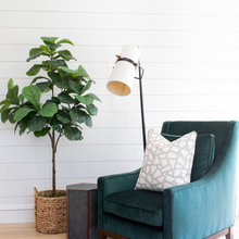 Living Room-