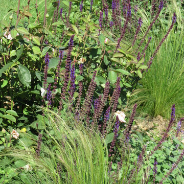 Large Country Garden, Chilton