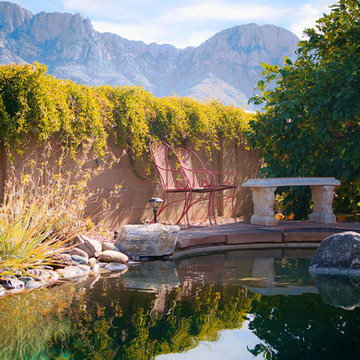 Custom Pools, Stream, Water Feature