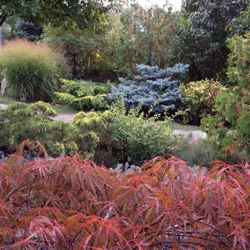 Fall Color Landscape Layers