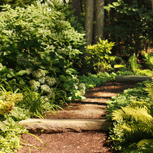 camas backyard