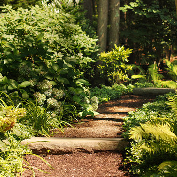 Mulch Woodland Path