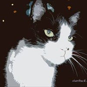 Shirley Thompson's photo