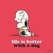 Glenn Townsend's photo