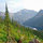tjclarkfork