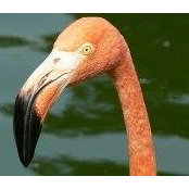 Margaret Garrett's photo