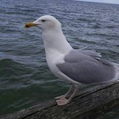 Foto von Monic Dasbas