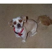Susan Joustra's photo