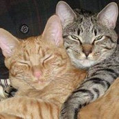 Marcia Tomseth's photo