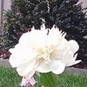 Johanna Swan's photo