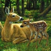 Athira Krishna's photo