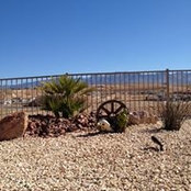 Lorraine Brown's photo