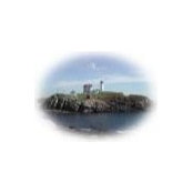 Deryl Vallett's photo