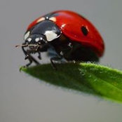 Julia Brown's photo