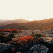 Hope's photo