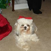 Kay Conway's photo