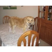 Kurt Matthews's photo