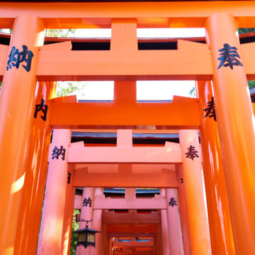 Travel Photography Japan