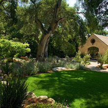 Landscape Ideas