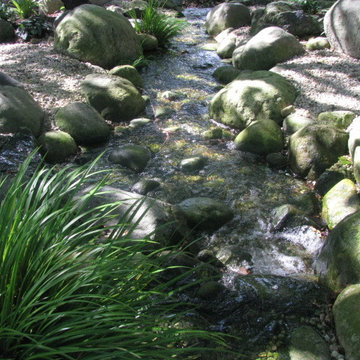 Pond Paradise Designs assorted photos