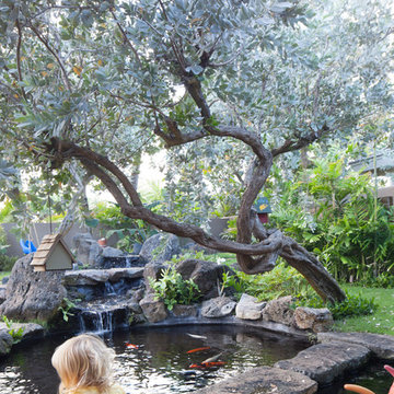 Tropical pond