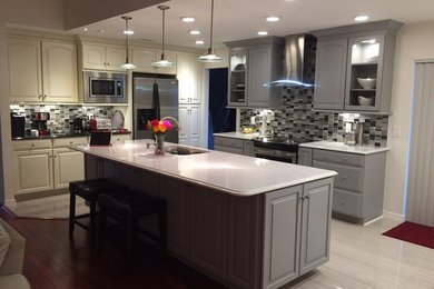 Kitchen - contemporary kitchen idea in Tampa