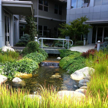 Water feature
