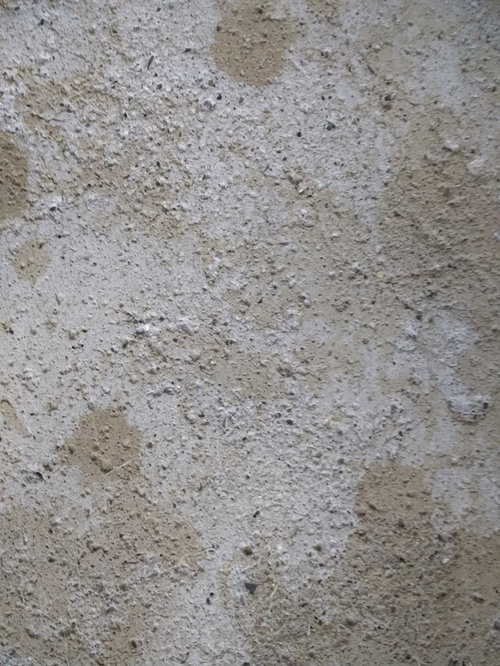 spot keeps coming back