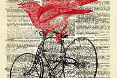 Red Bird on a Tricycle Dictionary Art Print