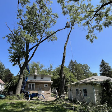 JCS Tree Care Professionals LLC