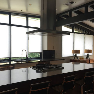 Designer Roller Shades