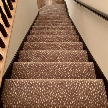 Exotic Escape I in Brown