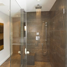 Master Bathroom Shower