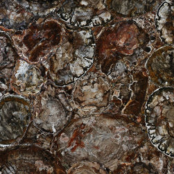 PETRIFIED WOOD - Home Decor