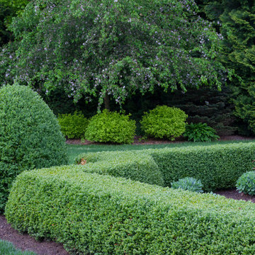 Secret Gardens