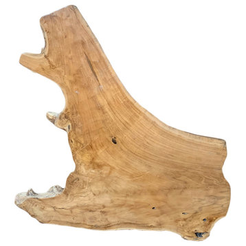Organic Acacia Wood Slice