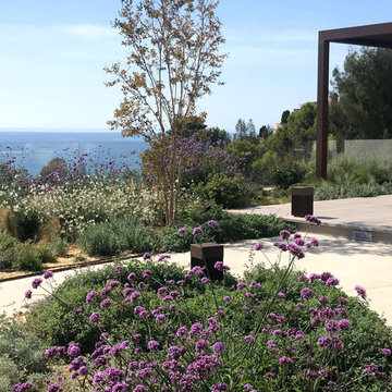 Jardines “naturalistas”