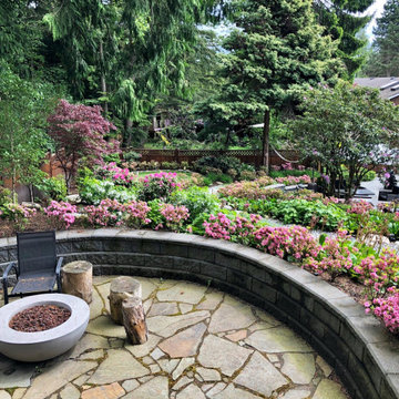 Backyard Haven