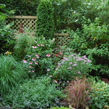Meadow Garden