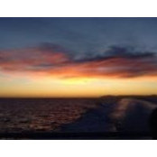 Annette Holzman's photo