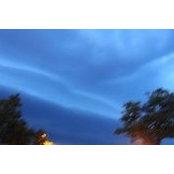 Brenda Wheeler's photo