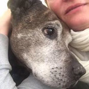 Steffi Kampf's photo