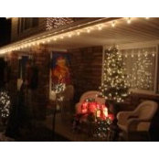 Kathy Schenck's photo